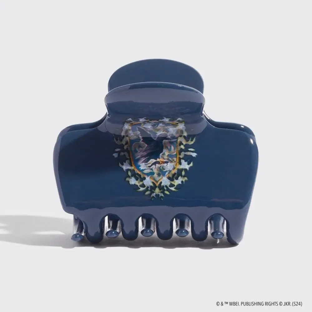Kitsch x Harry Potter Claw Clip Set NWT